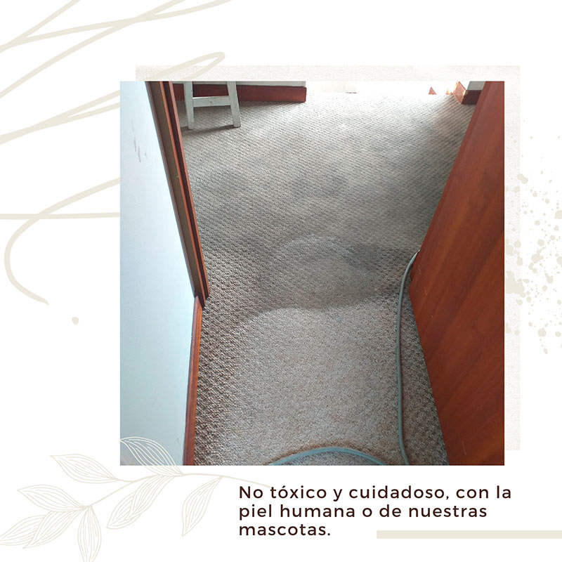limpiamos cualquier tipo de alfombras en Bogotá